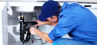 Best Plumbing System Maintenance  in Dodgeville, WI